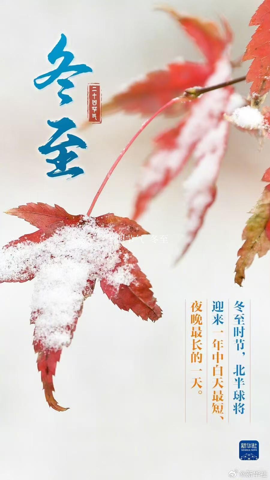 二十四节气 冬至的相关图片