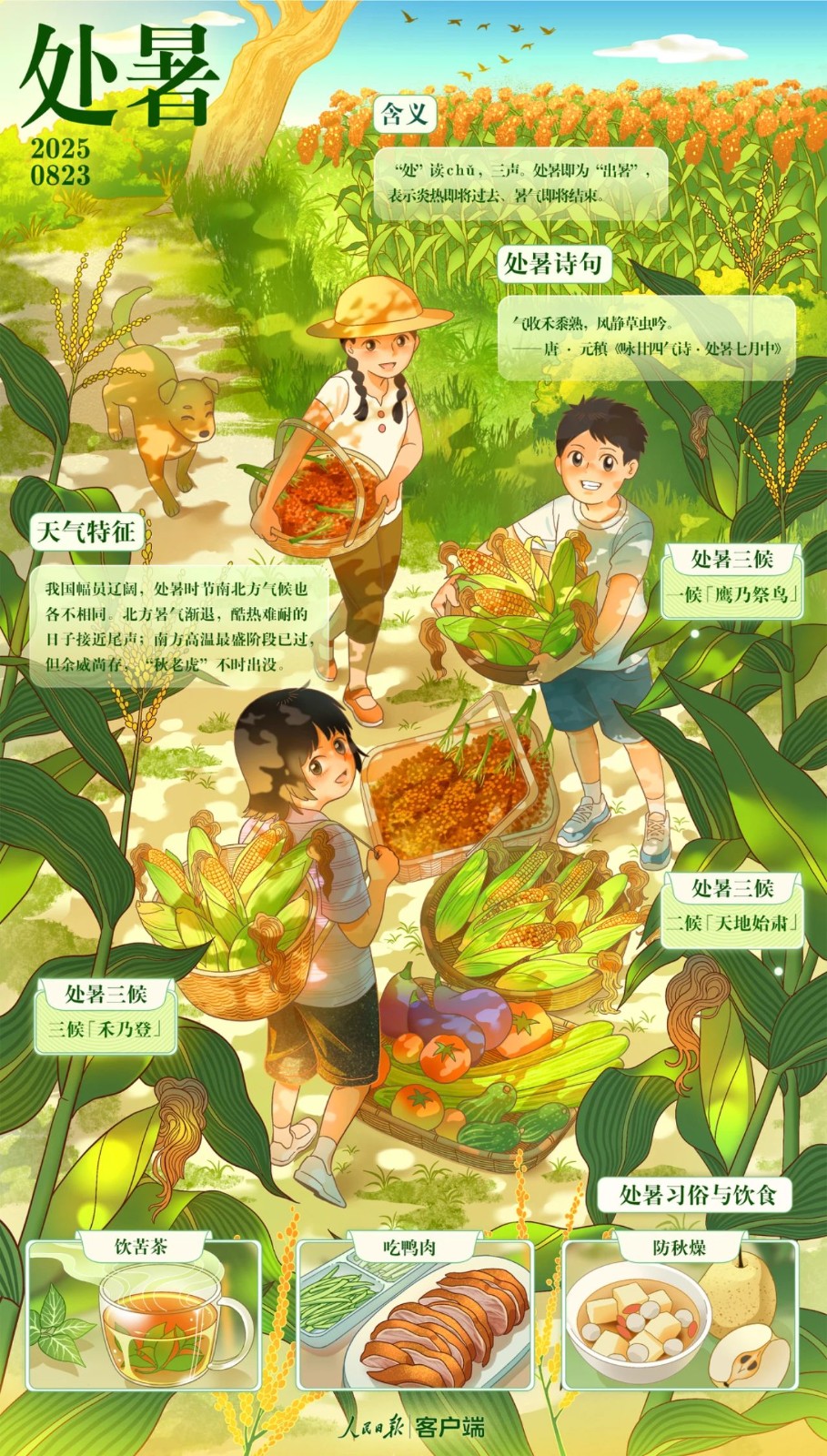 今日处暑的相关图片